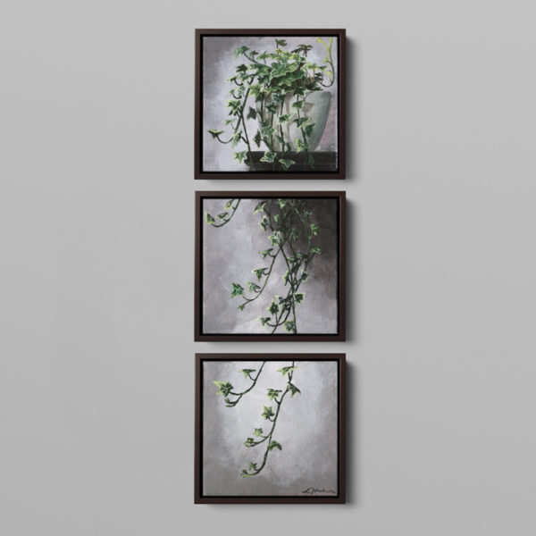 a framed three piece painting of an ivy hanging on a wall