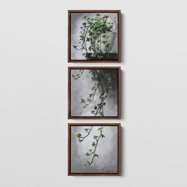 a framed three piece painting of an ivy hanging on a wall